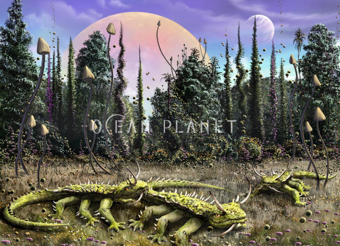 Happy woman hiker in a misty forest